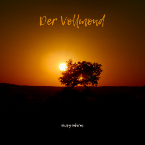 Der Vollmond