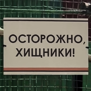 НАКУРИЛ АЛЬТУХУ