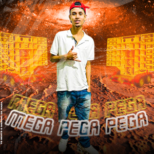 Mega Pega Pega (feat. Mc Brinquedo & Mc Gw)
