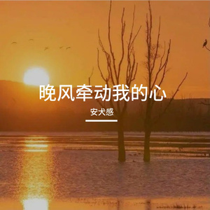 晚风牵动我的心