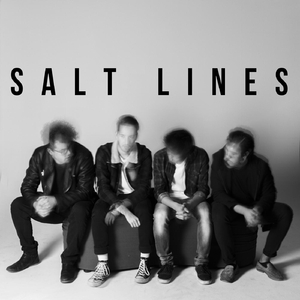 Salt Lines