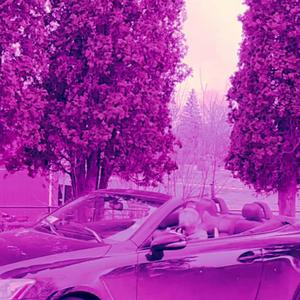 In The Zone (feat. chack)