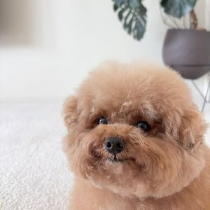 我是谁 - J Dilla x 陈娴静 Freestyle Boombap Type Beat