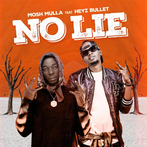 No Lie (feat. Heyz Bullet)