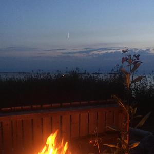 哪怕这痛苦还会一直陪伴