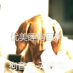 抚慰的训练犬回忆