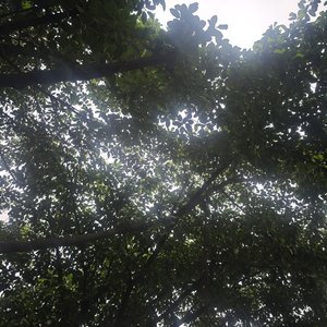 谢谢你陪我 把沉默也聊得温暖