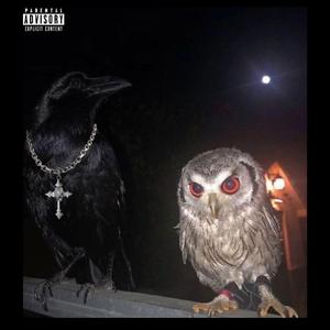 Crows! (ari fletcher)