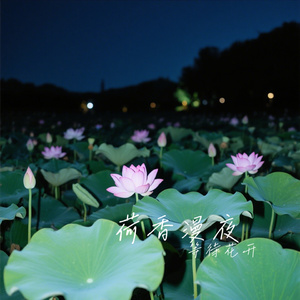 荷香漫夜
