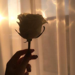 罗曼蒂克的爱情