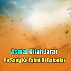 Pa Sang Ke Zalmi Di Bahadar