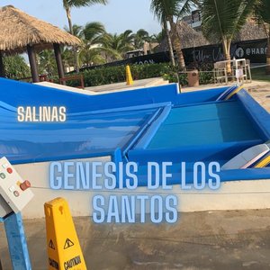 Salinas