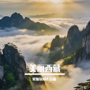 美丽西藏
