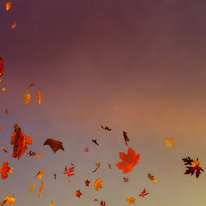 一叶落知天下秋