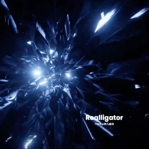 Realligator (HipHop味儿挑战)