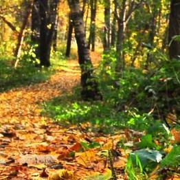 冻结成冰坠落 (2)