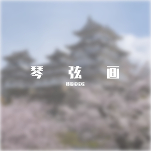琴