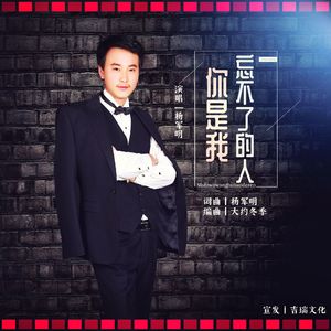 你是我忘不了的人