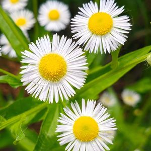 伤痛的心扉-整曲 伴奏