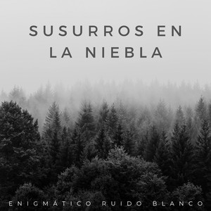 Melodía De Las Noches Tranquilas