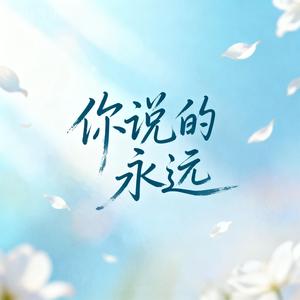 你说的永远