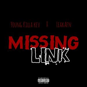 Missing Link (feat. LeakAintForNun)
