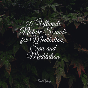 Rain, Vegetation, Wood, Heavy Wind