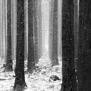 나만 남겨진 사랑 (feat. 데이슨 of 조이어클락)