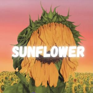 【售断】"Sunflower"_夏日POP Style