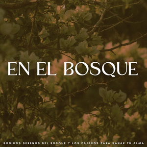 Mi Propia Esencia