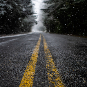 Creatures in the Rain