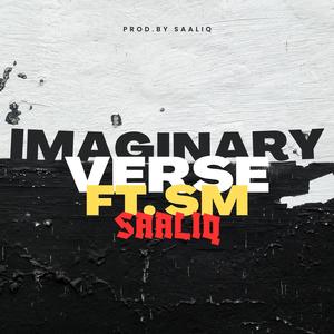 Imaginary Verse (feat. SM Seedhe Maut)