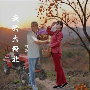 我的大西北—阿多
