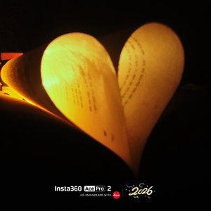 路灯下雪花飘成你的轮廓