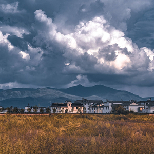 Rainy Meanderings