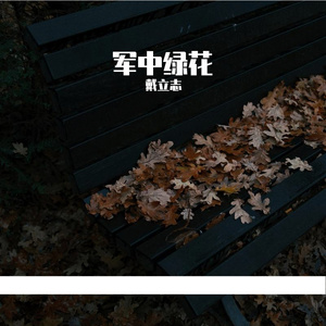 军中绿花（戴立志 remix）