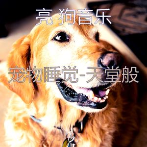 分类(训练你的狗)