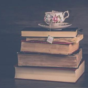 岁与春 (动听琵琶)