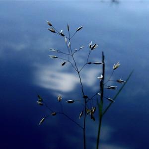 Shades (feat. Artemis Kyriakopoulos)