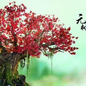 那古木斯主题曲《故土之路》