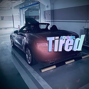 凤凰传奇-最炫民族风 x 天上飞 (Mic Bootleg Mix)