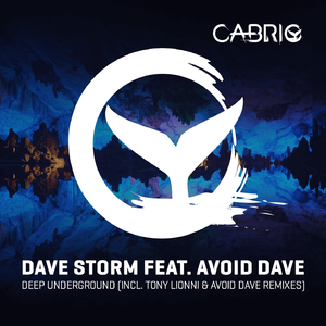 Deep Underground (Avoid Dave Remix)