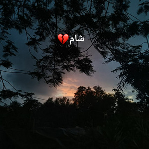 Shaam