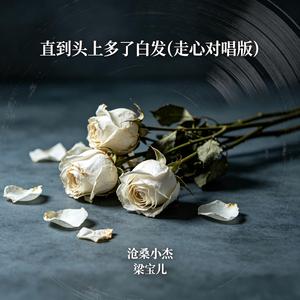 直到头上多了白发(走心对唱版)