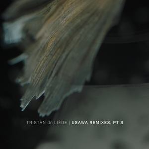 Sabor (Kennebec Remix)