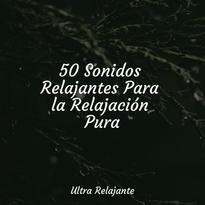 Susurro De Hojas