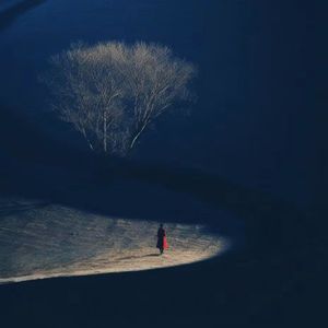 1974年在东南亚打自由搏击