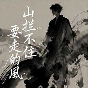 山拦不住要走的风  (Remix)