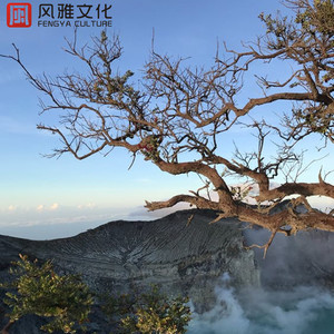 田野的季尾草 -钢琴