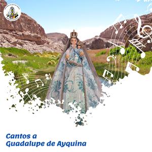 Te vuelvo a mirar (feat. Puer Crepitus)